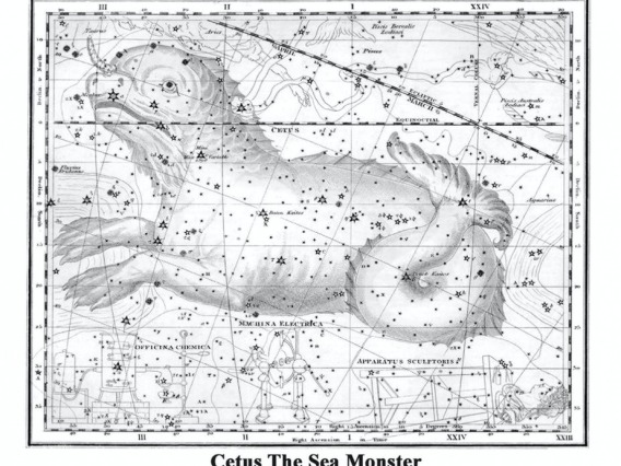 Cetus The Sea Monster Image