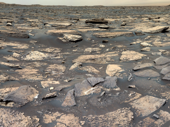 NASA's Curiosity rover continues to search for signs that Mars' Gale Crater conditions could support microbial life