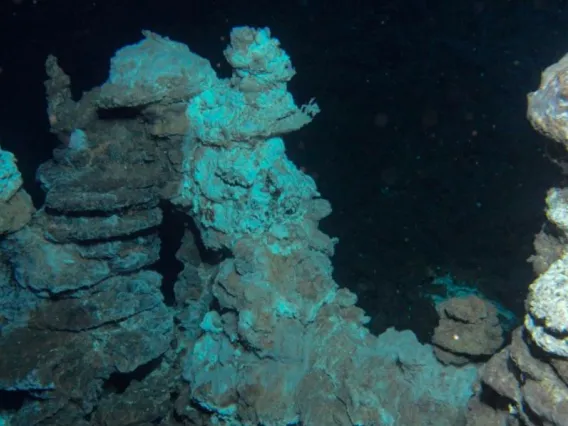 Image shows deep sea structures where extremophiles might exist