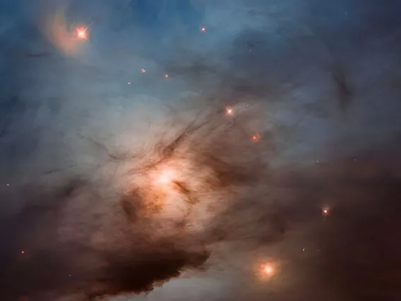 Hubble image of NGC 1333