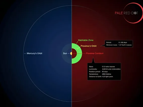 This infographic compares the orbit of the planet around Proxima Centauri (Proxima b) with the same region of the solar system.