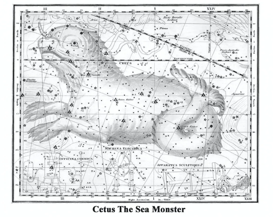 Cetus The Sea Monster Image