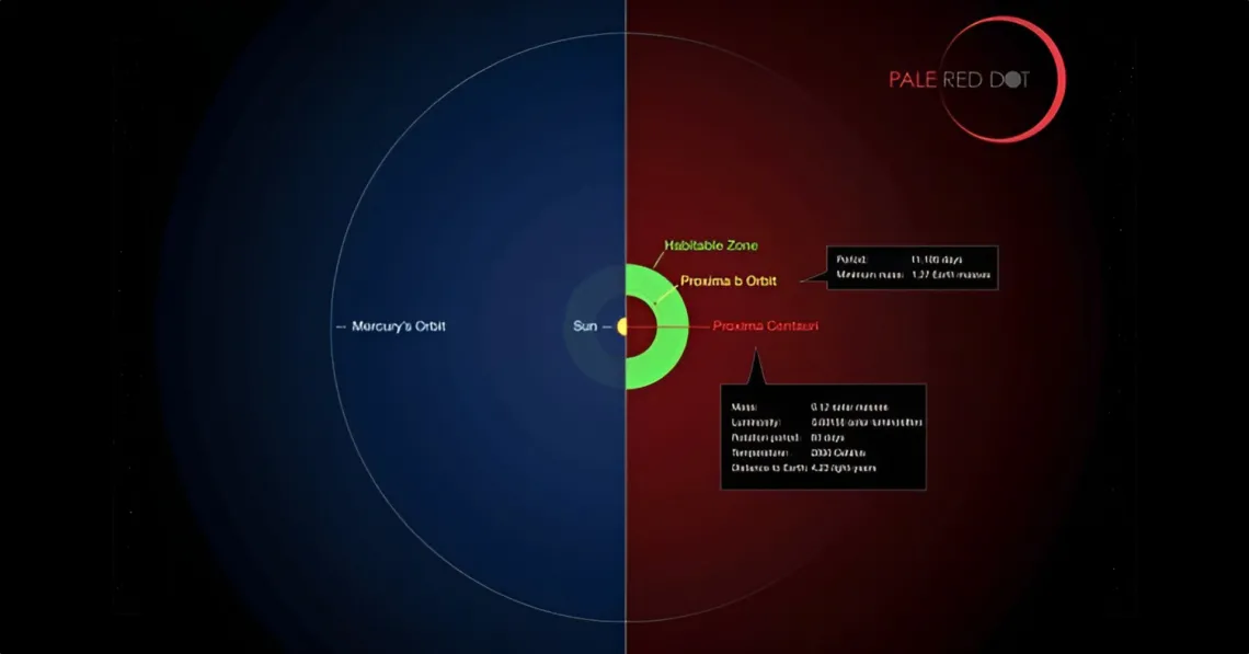 This infographic compares the orbit of the planet around Proxima Centauri (Proxima b) with the same region of the solar system.