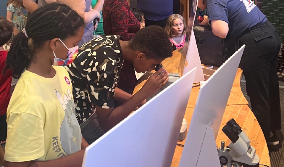 Two young children looking at educational materials